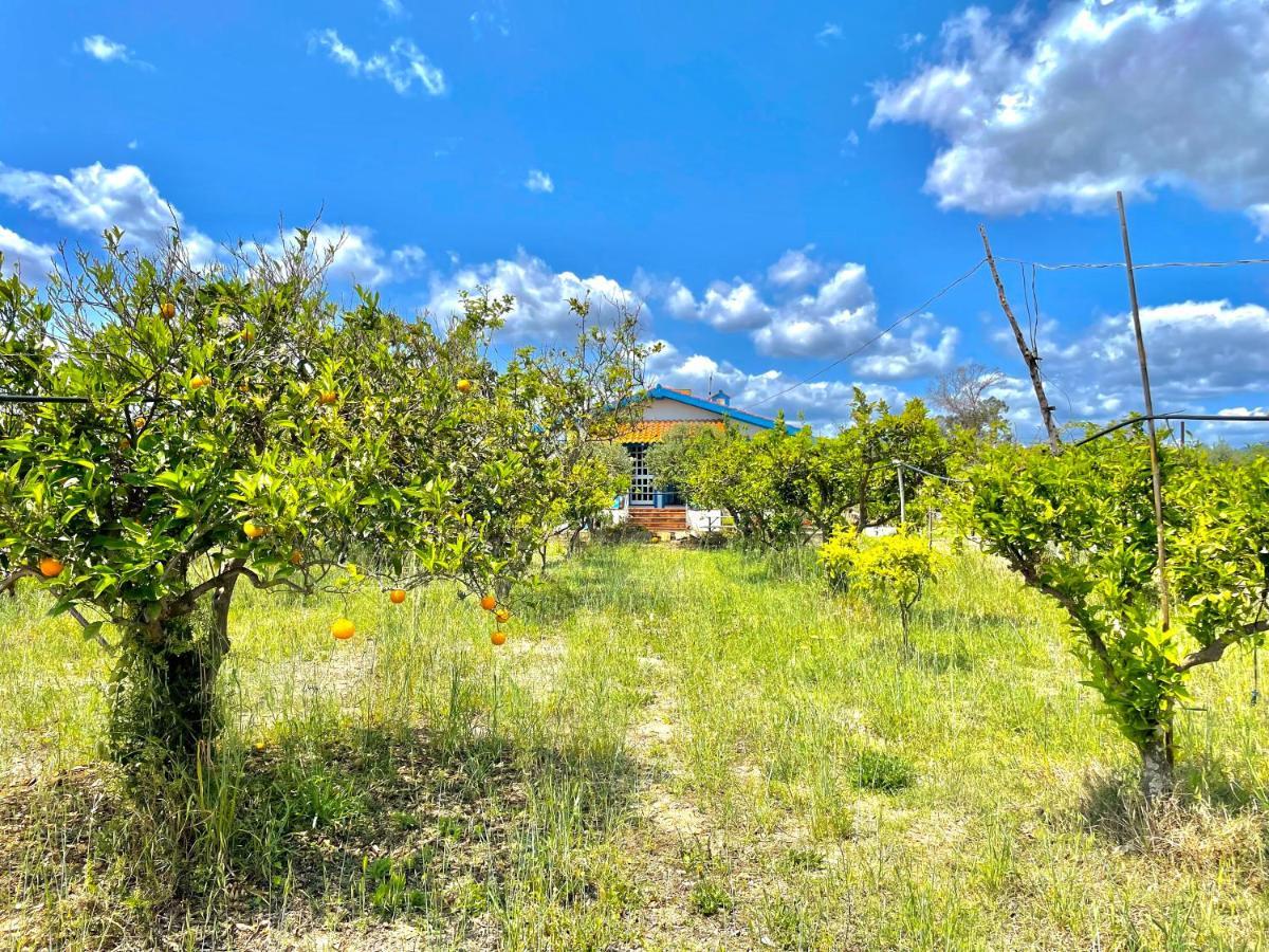 Casa Al Mare Villa Bari Sardo Dış mekan fotoğraf